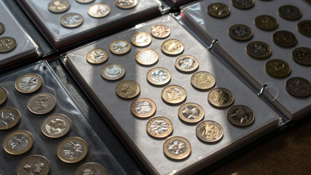 Coin storage albums with organized coin collections.