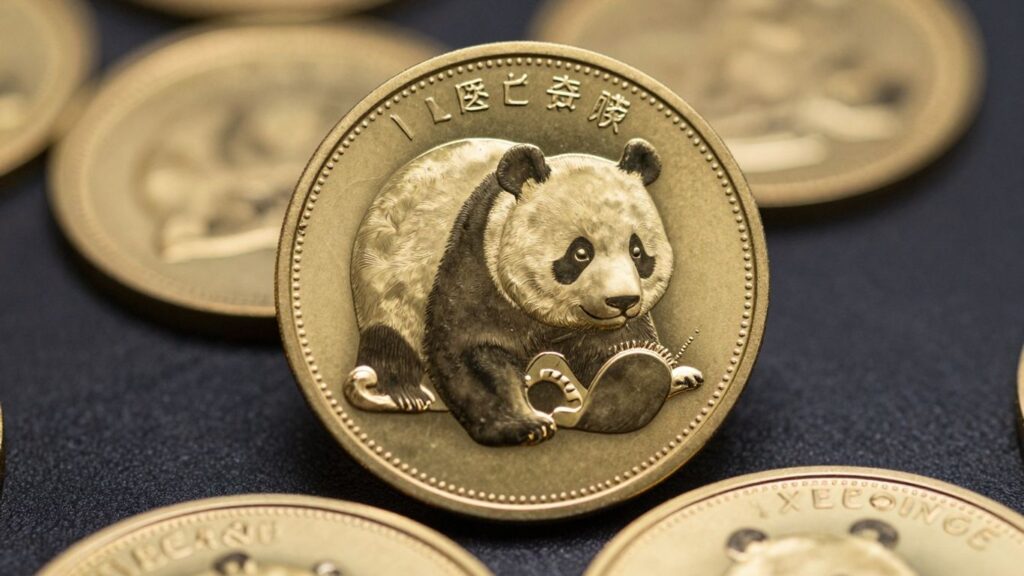 Gold Panda coin close-up, San Antonio TX